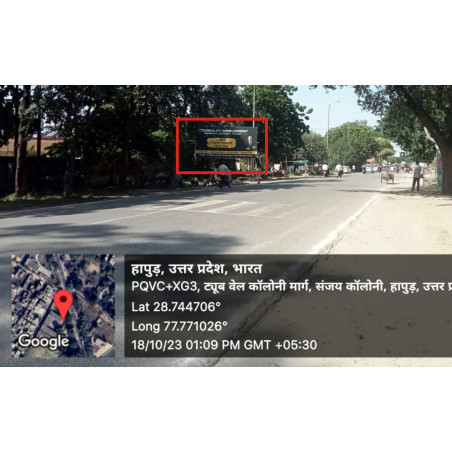 Mountain fox notebook