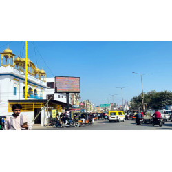 Hummingbird - Vector graphics